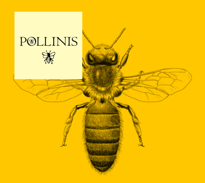 pollinis