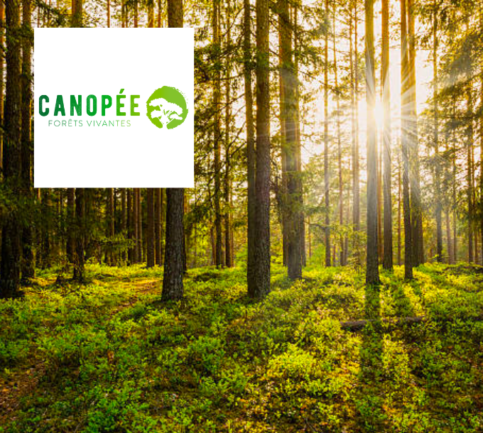 Canopée-Forêts Vivantes